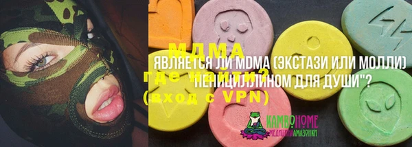 apvp Ельня