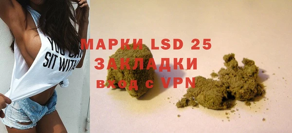 apvp Ельня