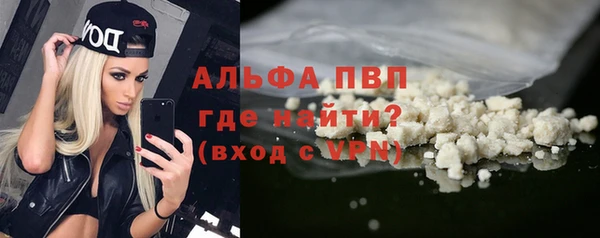 apvp Ельня