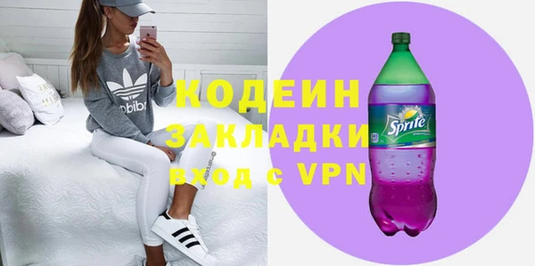 apvp Ельня