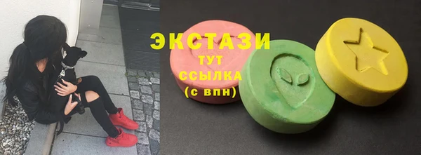 apvp Ельня