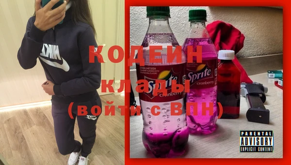 mdpv Елизово