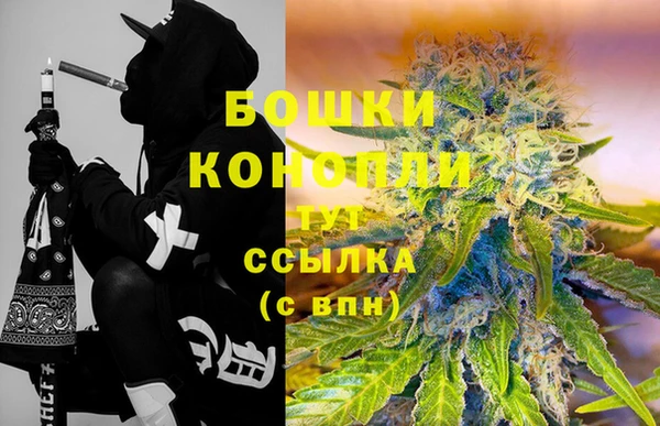 apvp Ельня