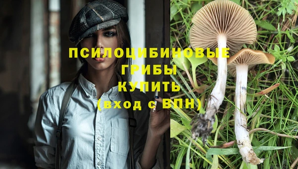 apvp Ельня
